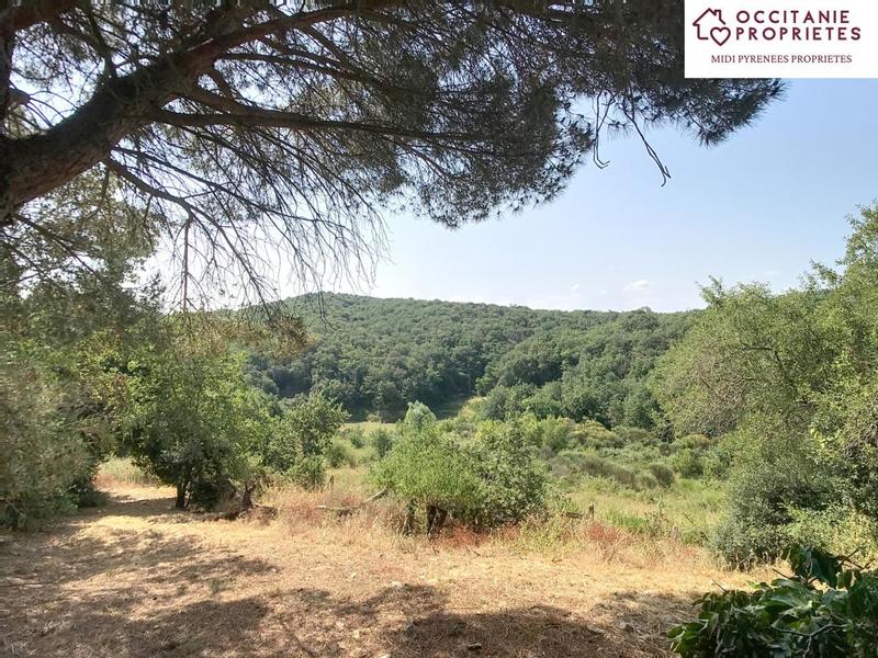 Propriété - 360 m² - 10 pièces