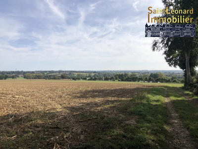 Terrain - 17 006 m²