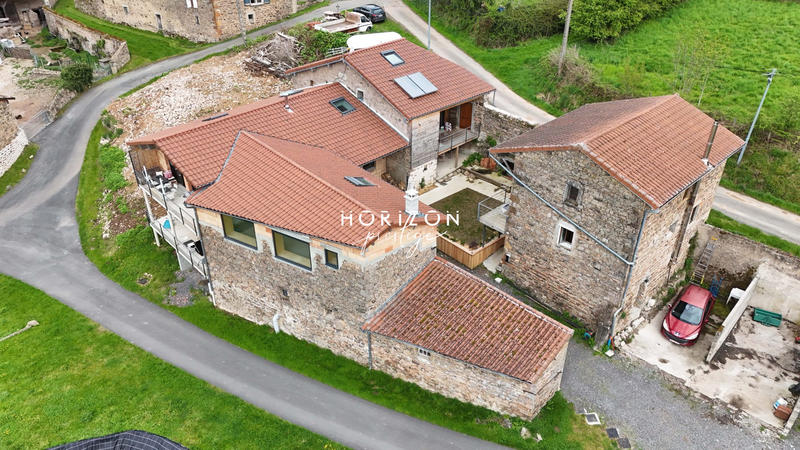 Maison ancienne - 540 m² - 13 pièces