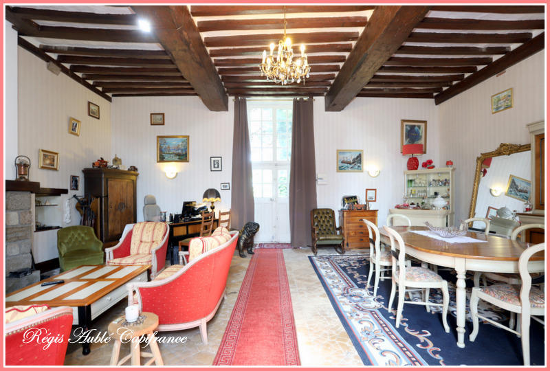 Château - 1 500 m² - 20 pièces