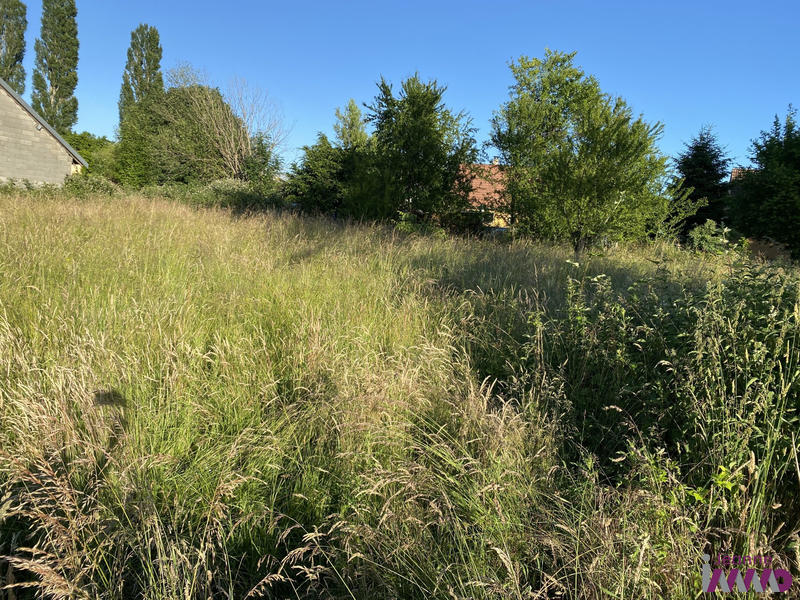 Terrain - 1 050 m²