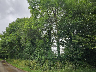 Terrain agricole - 10 804 m²