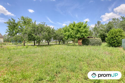 Terrain - 1 256 m²