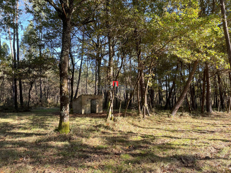 Terrain agricole - 154 100 m²