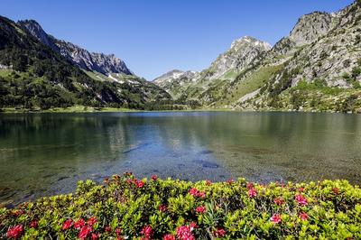 Camping du Pays de Beille