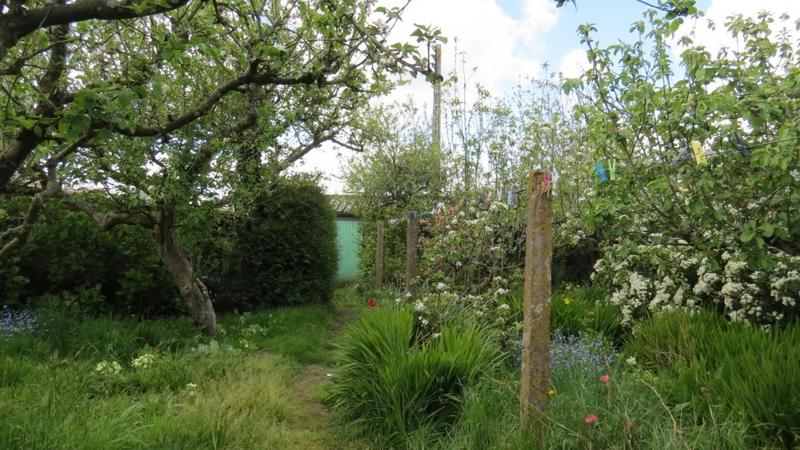 Terrain constructible - 631 m²