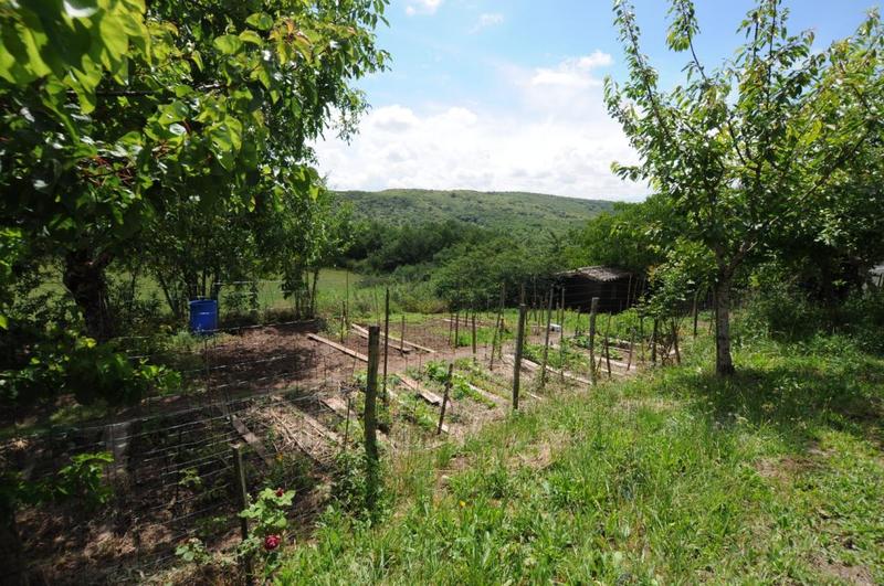 Maison de campagne - 265 m² - 11 pièces