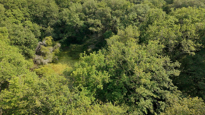 Terrain - 45 170 m²