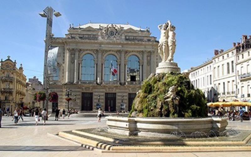 Appartement - 80 m² - 3 pièces