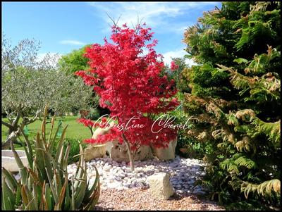 Maison - 174 m² - 5 pièces