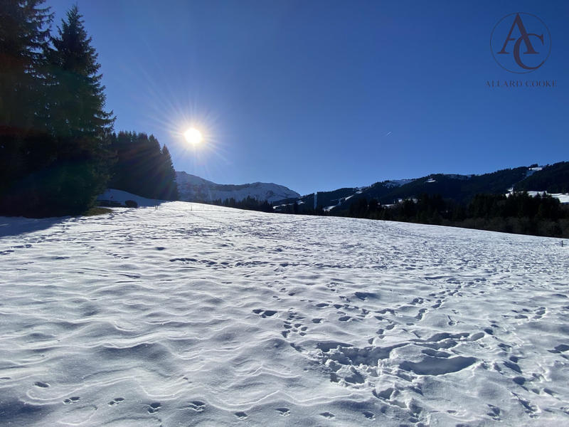 Appartement - 98 m² - 4 pièces