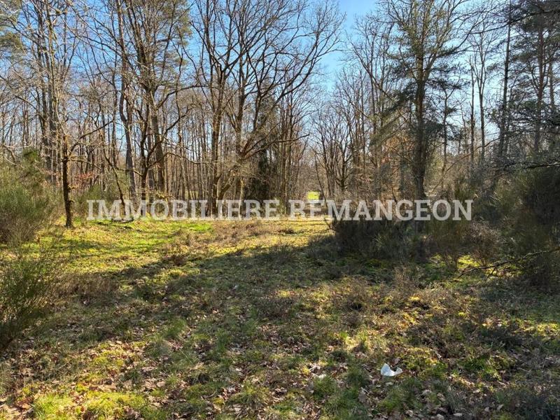 Demeure - 217 m² - 4 pièces