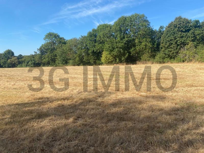 Terrain constructible - 7 000 m²
