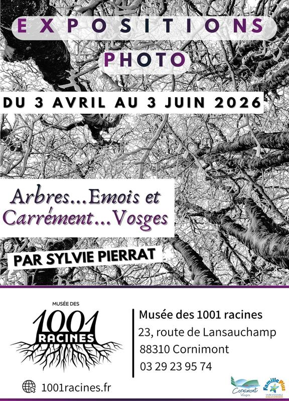 Exposition photographique - Arbres...Emois et Carrément...Vosges