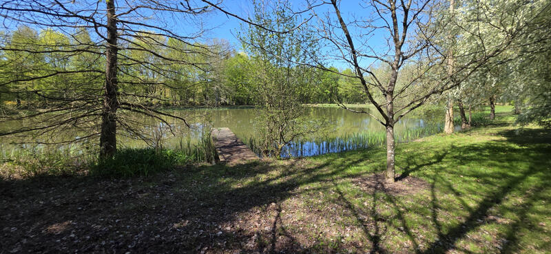 Propriété - 205 m² - 5 pièces