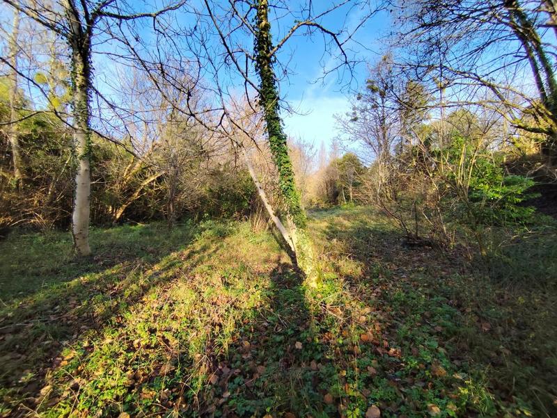 Maison en pierre - 60 m²