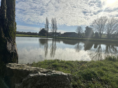 Maison - 161 m² - 5 pièces