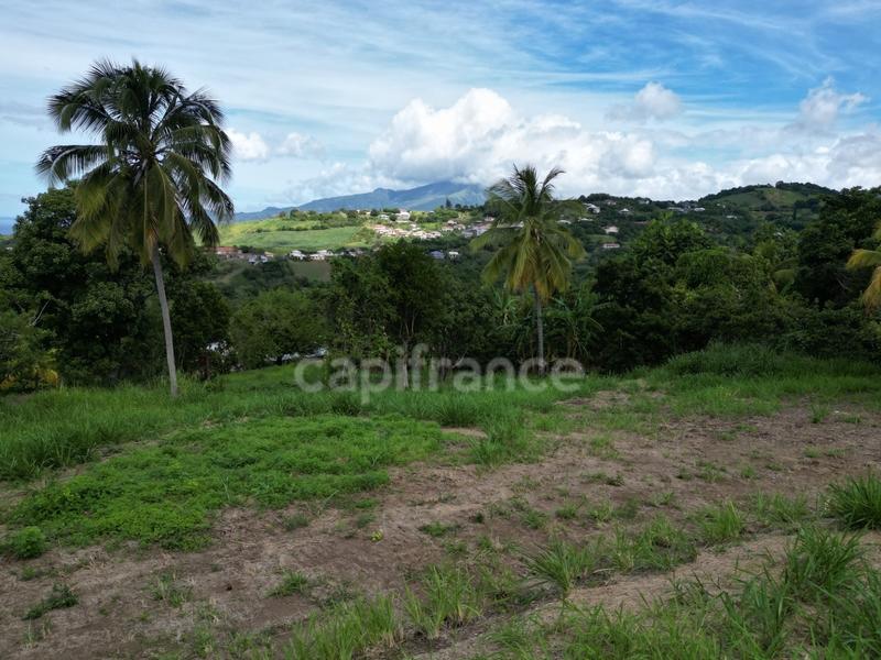 Terrain constructible - 1 060 m²