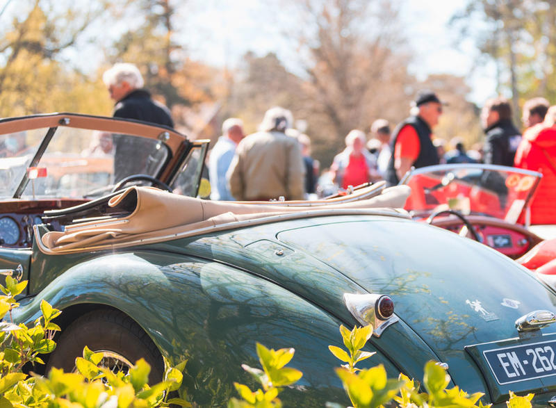 Aux marches du Palais - Rassemblement d'automobiles de collection