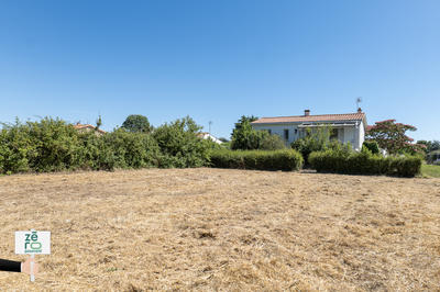Terrain - 790 m²