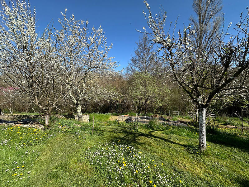 Maison - 55 m² - 2 pièces