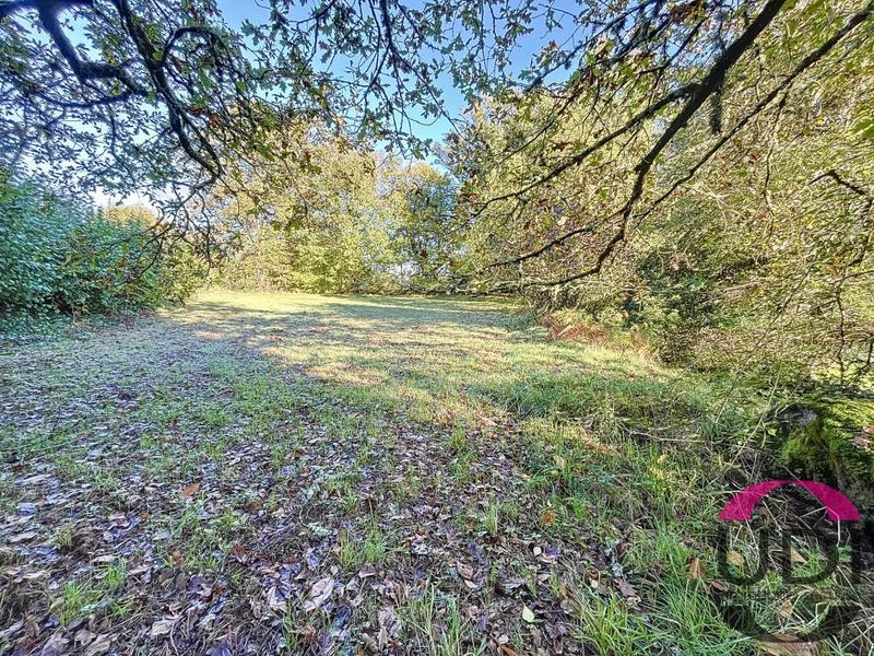 Terrain constructible - 4 306 m²