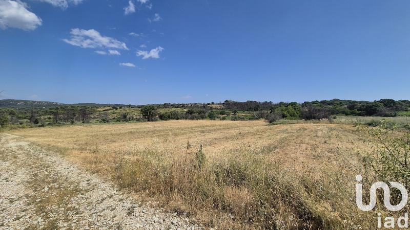 Terrain agricole - 5 550 m²