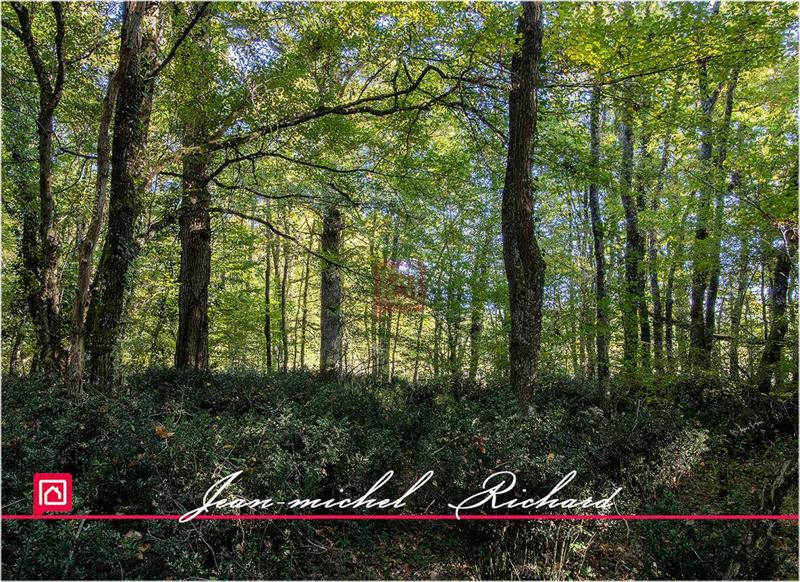 Propriété - 400 m² - 8 pièces