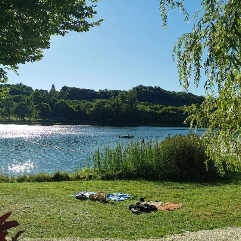 Le réseau des Bib' en vadrouille