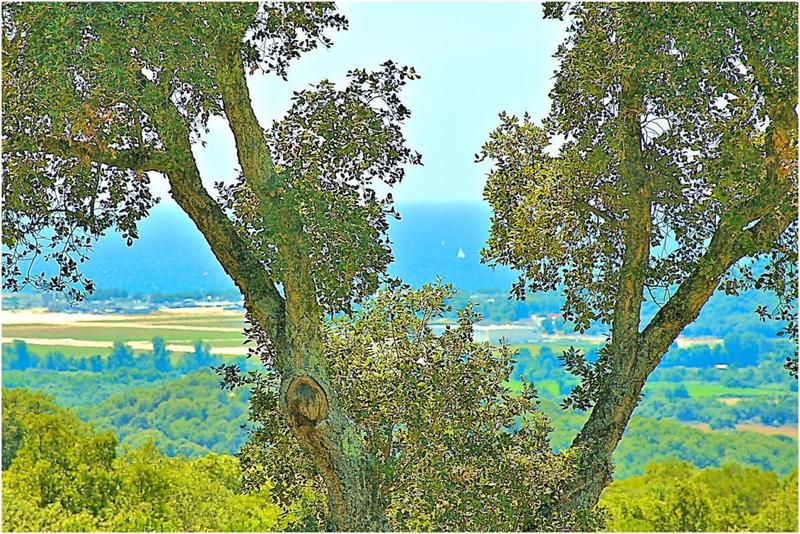 Villa - 172 m² - 5 pièces