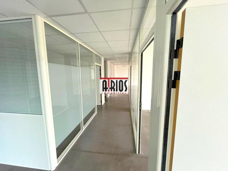 Local d'activité / Entrepôt - 290 m²