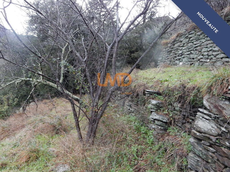 Maison en pierre - 87 m² - 6 pièces