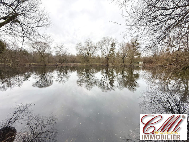 Terrain de loisirs - 11 820 m²