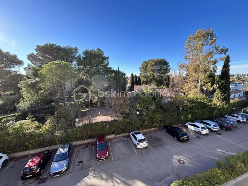 Studio - 28 m² - 1 pièce