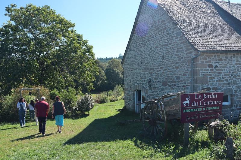 A la découverte des plantes médicinales