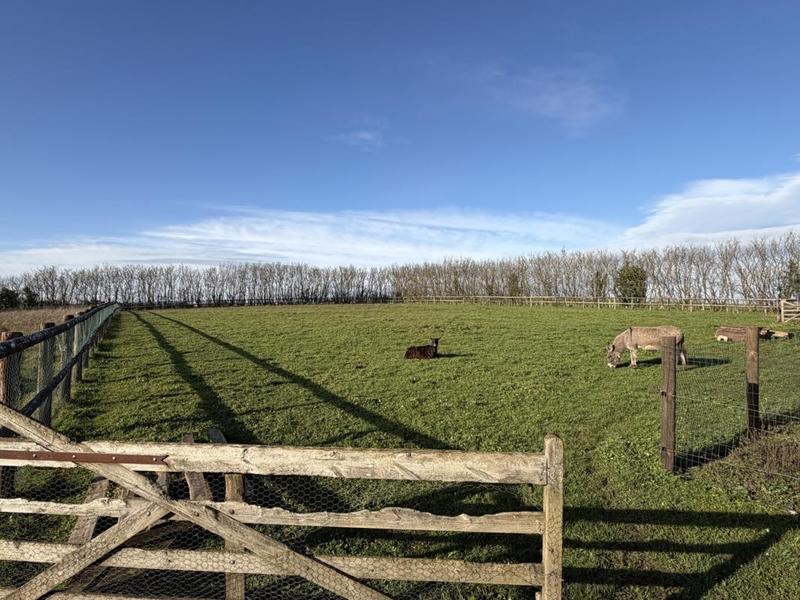 Maison de campagne - 229 m²