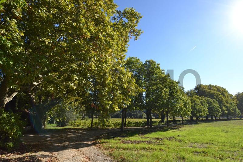 Maison de domaine - 1 200 m² - 30 pièces