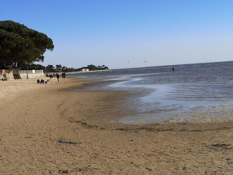 Appartement - 101 m² - 4 pièces