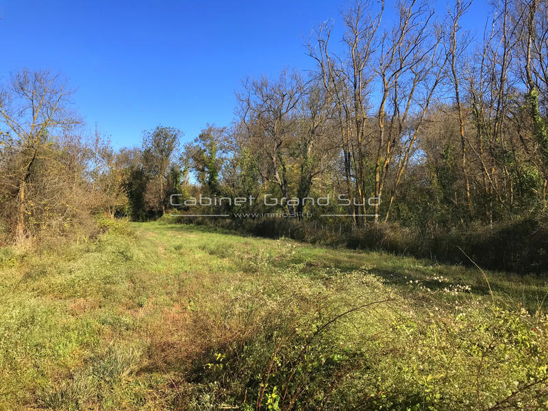 Terrain de loisirs - 1 488 m²