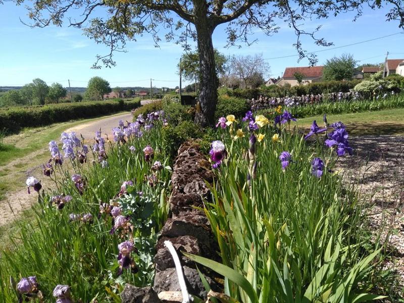 Maison - 200 m² - 7 pièces