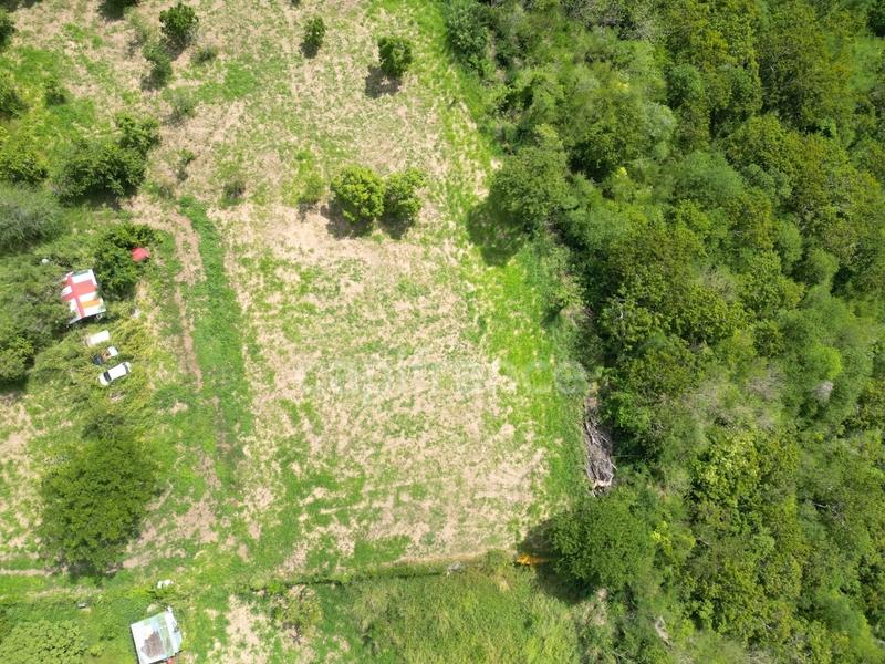 Terrain constructible - 1 919 m²