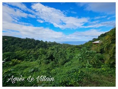 Terrain constructible - 7 664 m²