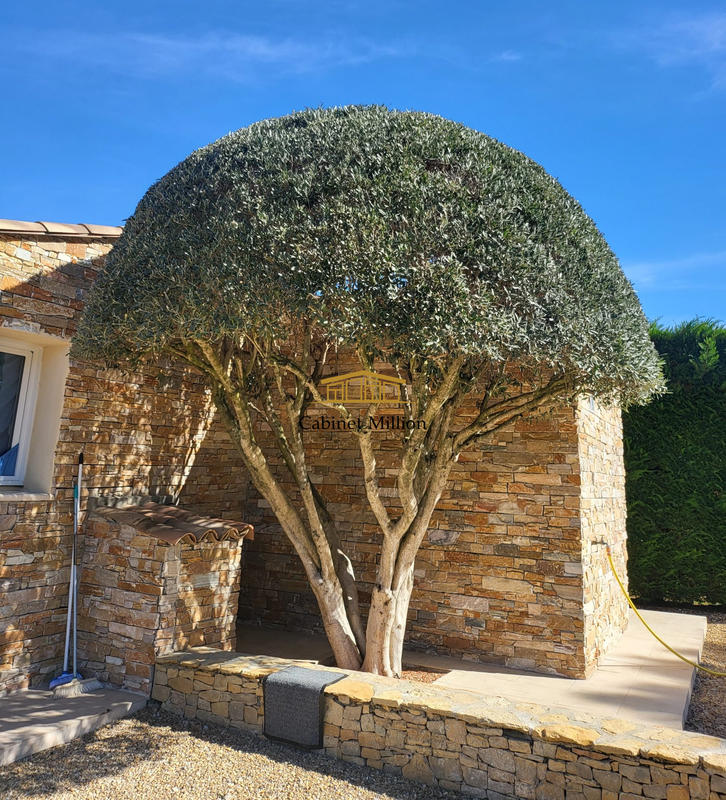 Mas - 150 m² - 6 pièces