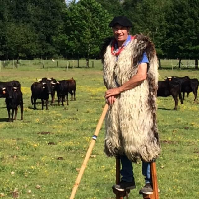 Soirée Moules à la Plancha