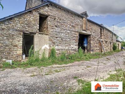 Longère - 250 m² - 5 pièces