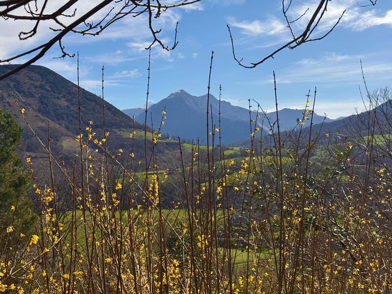 Châlet - 140 m² - 7 pièces