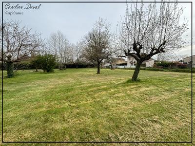 Terrain - 1 500 m²