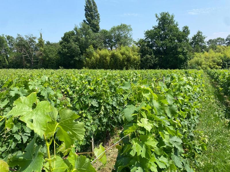 Demeure - 155 m² - 6 pièces