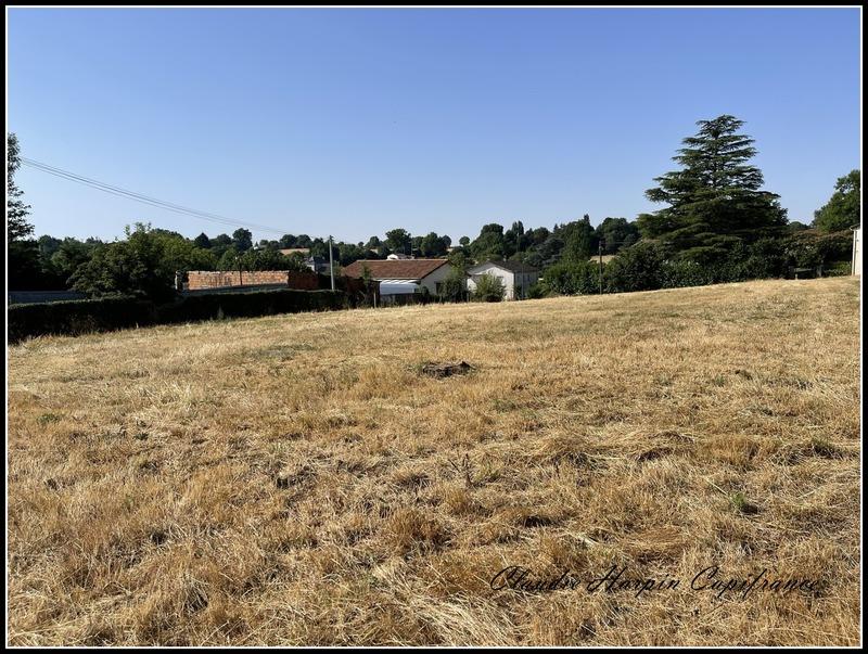 Terrain constructible - 1 508 m²