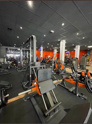 Local d'activités - 498 m² - 4 pièces